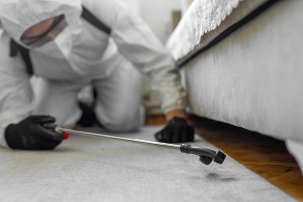 Professional Pest Control technician working in Vidor, TX