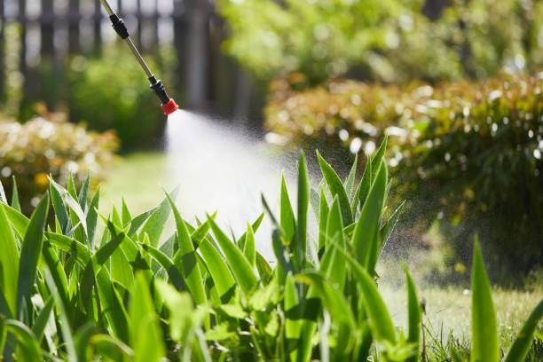 24/7 Emergency Pest Control experts in Vidor, TX